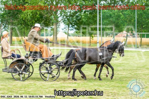 Mintakép 20260611-115