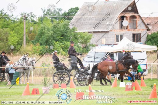 Mintakép 20260822-1302