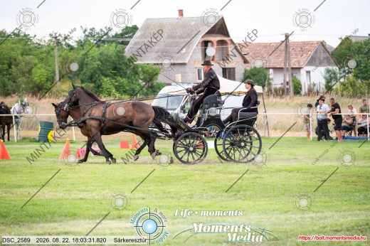 Mintakép 20260822-1326