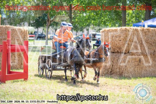 Mintakép 20260613-1724