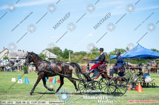 20260822-130125-DSC_0510.jpg