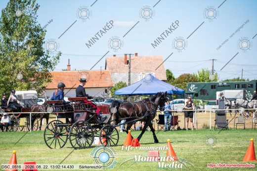 Mintakép 20260822-1361