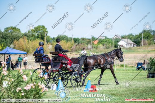Mintakép 20260822-1364