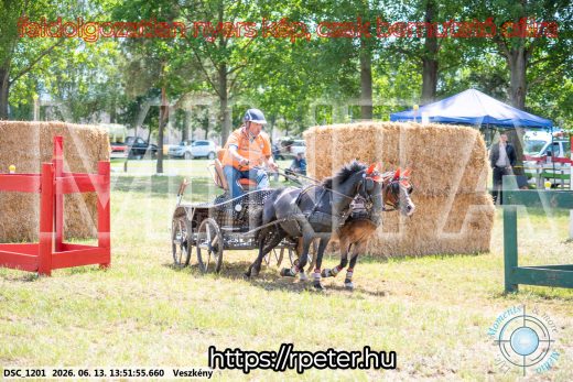 Mintakép 20260613-1725