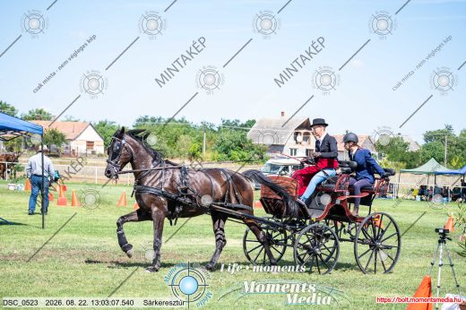 Mintakép 20260822-1366