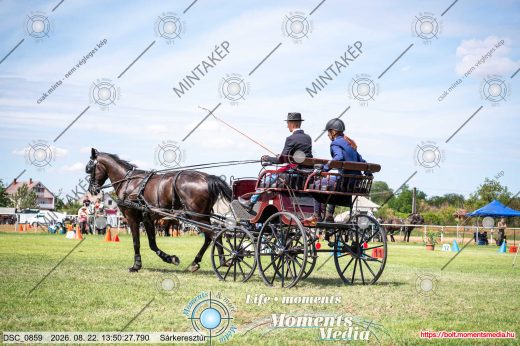 Mintakép 20260822-1379