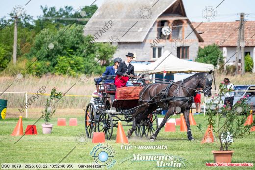 Mintakép 20260822-1389