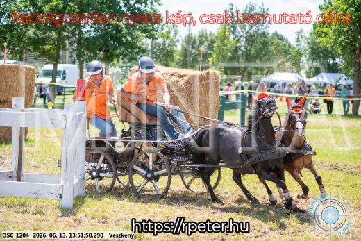 Mintakép 20260613-1729