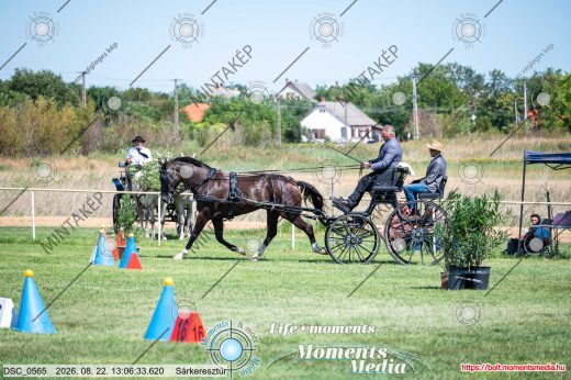 Mintakép 20260822-1410