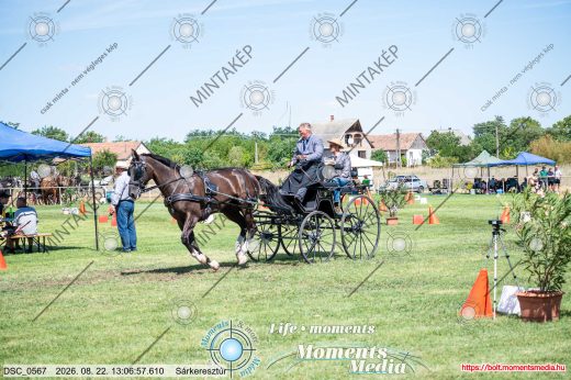 Mintakép 20260822-1412