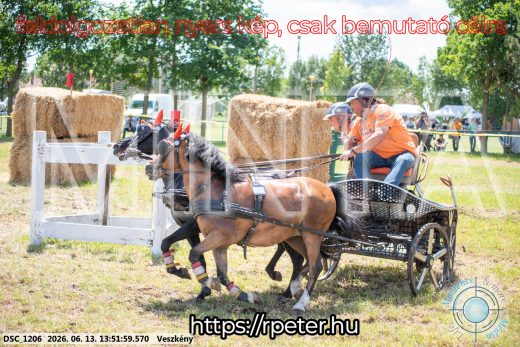 Mintakép 20260613-1731
