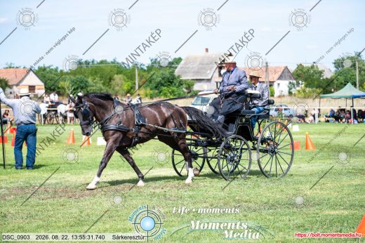Mintakép 20260822-1432