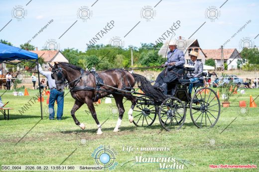 Mintakép 20260822-1433