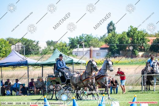 20260822-114709-DSC_9980.jpg