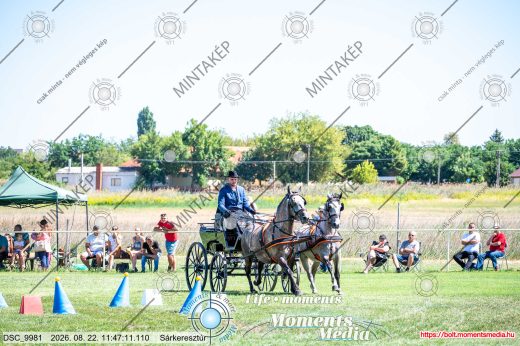 Mintakép 20260822-1442