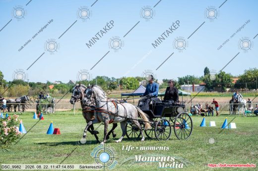 Mintakép 20260822-1443