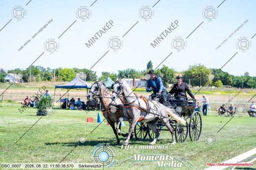 Mintakép 20260822-1456