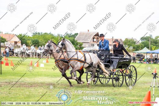 Mintakép 20260822-1468