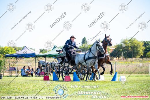 Mintakép 20260822-1486