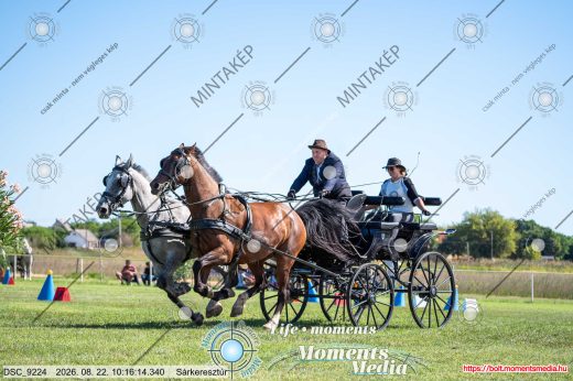 Mintakép 20260822-1488