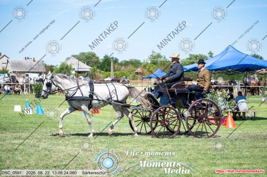 20260822-130924-DSC_0591.jpg