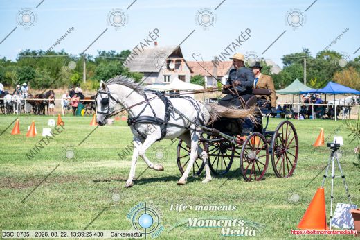 Mintakép 20260822-1535