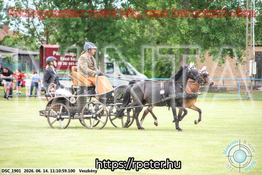 Mintakép 20260614-860