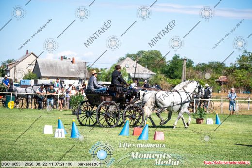 20260822-110724-DSC_9653.jpg