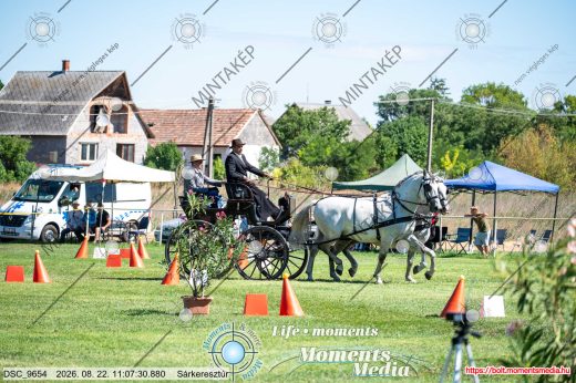 20260822-110730-DSC_9654.jpg