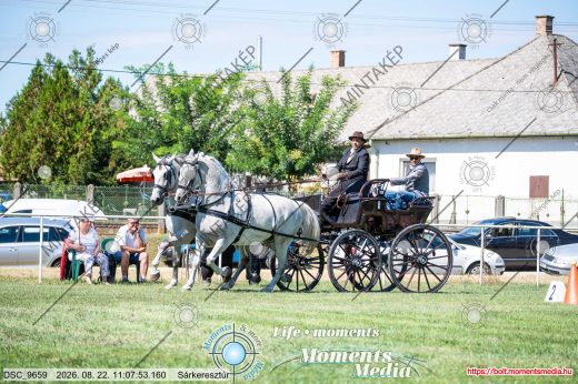 Mintakép 20260822-1543