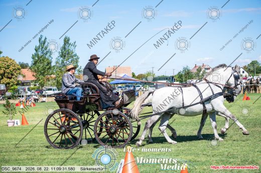 Mintakép 20260822-1554