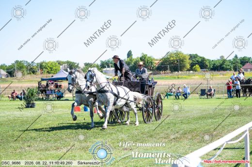 Mintakép 20260822-1560