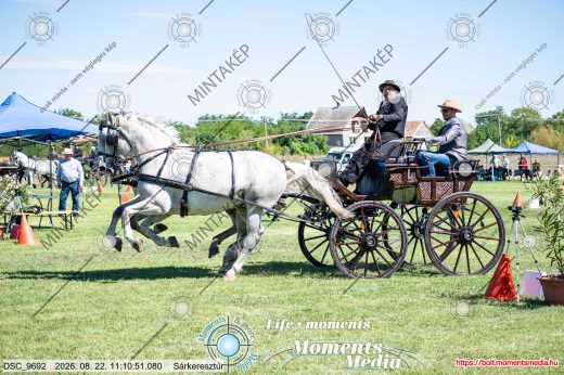 Mintakép 20260822-1562