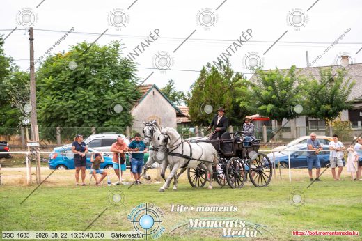 Mintakép 20260822-1569