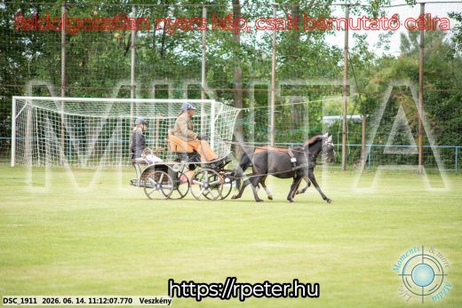 Mintakép 20260614-865