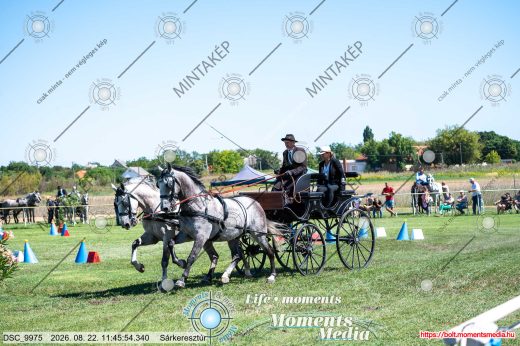 Mintakép 20260822-1603