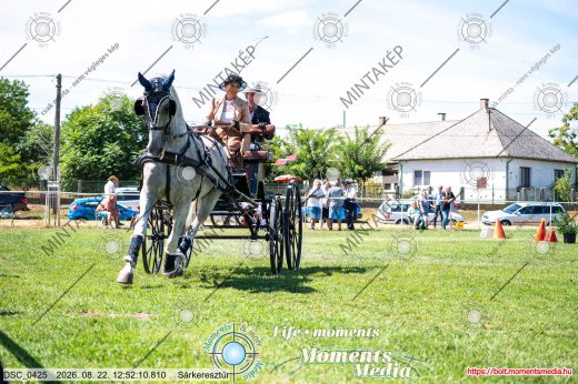 Mintakép 20260822-1629