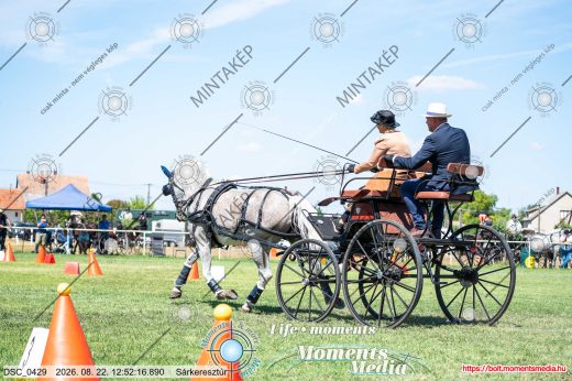 Mintakép 20260822-1632