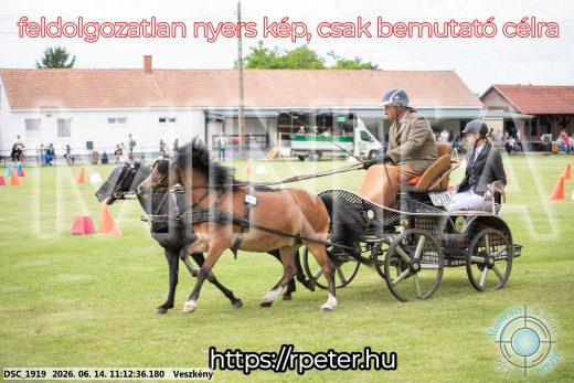Mintakép 20260614-870