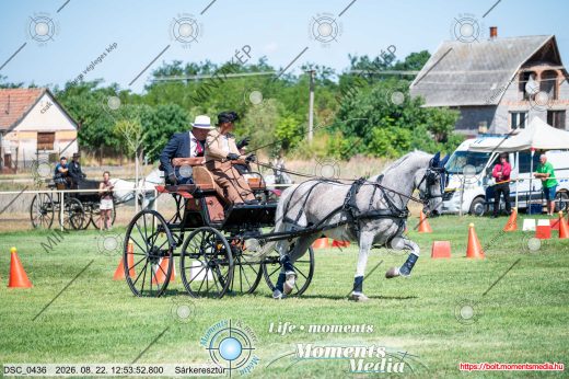 Mintakép 20260822-1636