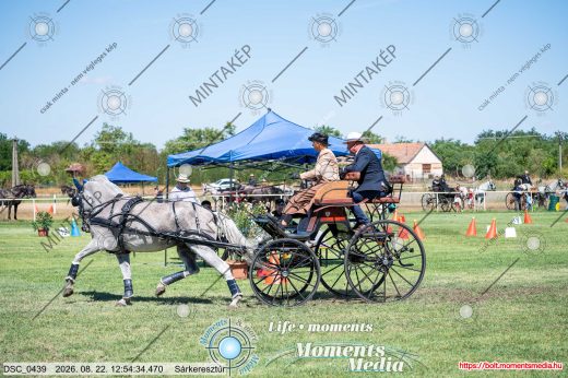 Mintakép 20260822-1638