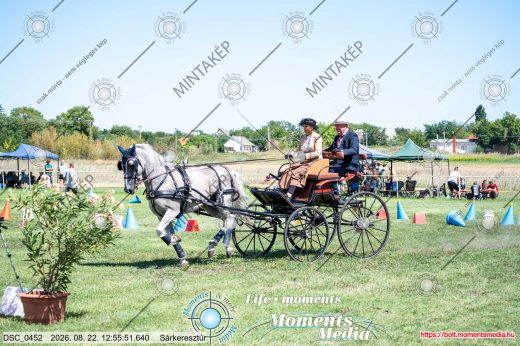 Mintakép 20260822-1644
