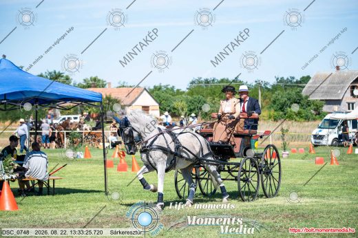 Mintakép 20260822-1648