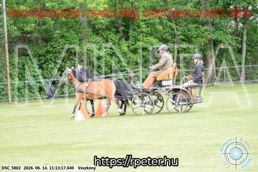 Mintakép 20260614-872