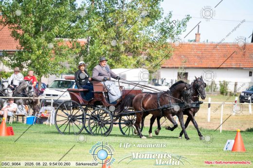 Mintakép 20260822-1669