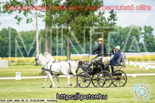 Mintakép 20260611-125