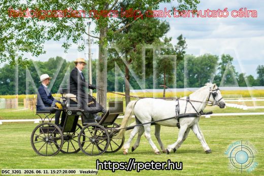 Mintakép 20260611-126