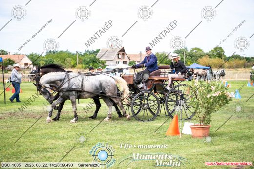 Mintakép 20260822-1800