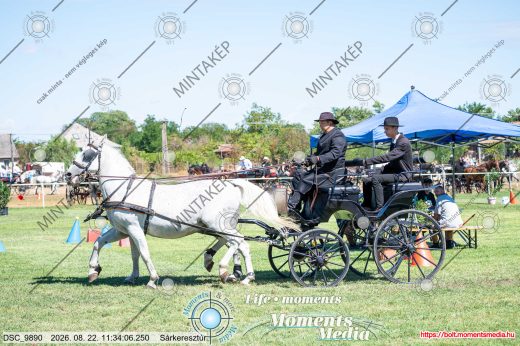 20260822-113406-DSC_9890.jpg