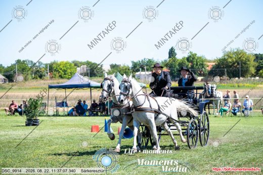 Mintakép 20260822-1813